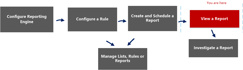 Viewpoint Report Example View a Report Panel