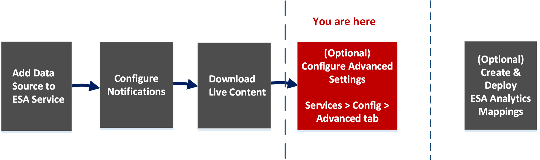 669435 - Services Config View Advanced Tab (11.2 and Earlier)